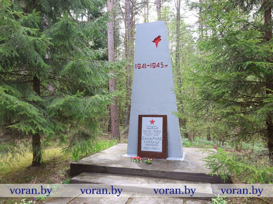 2F1A4194.JPG