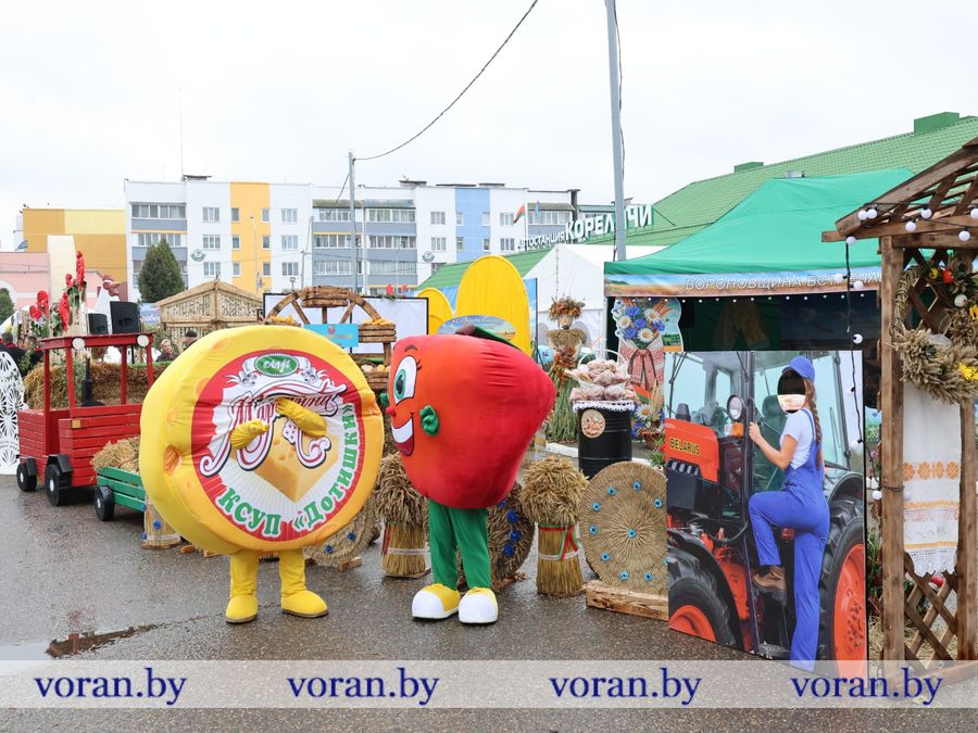 изображение_viber_2026-09-26_11-15-17-917.jpg изображение_viber_2026-09-26_11-15-17-917.jpg