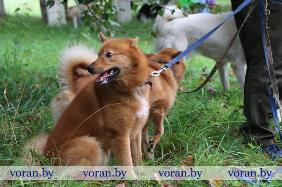 изображение_viber_2025-09-13_18-29-22-763.jpg