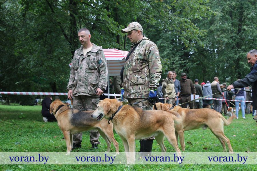 изображение_viber_2025-09-13_18-31-14-990.jpg