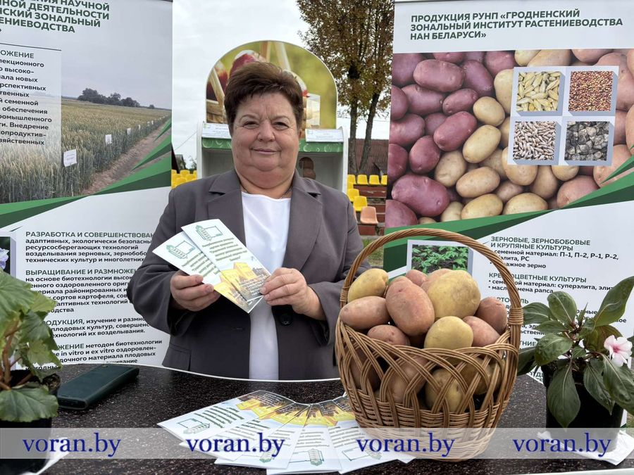изображение_viber_2025-09-27_17-57-29-588.jpg