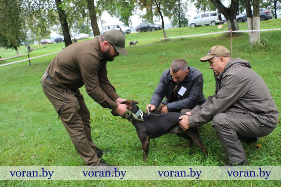 изображение_viber_2025-09-13_18-29-41-292.jpg
