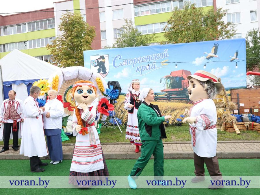 изображение_viber_2026-09-26_11-56-02-657.jpg изображение_viber_2026-09-26_11-56-02-657.jpg
