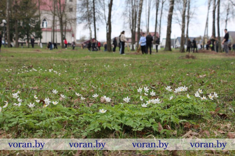 изображение_viber_2023-04-14_14-10-24-625.jpg