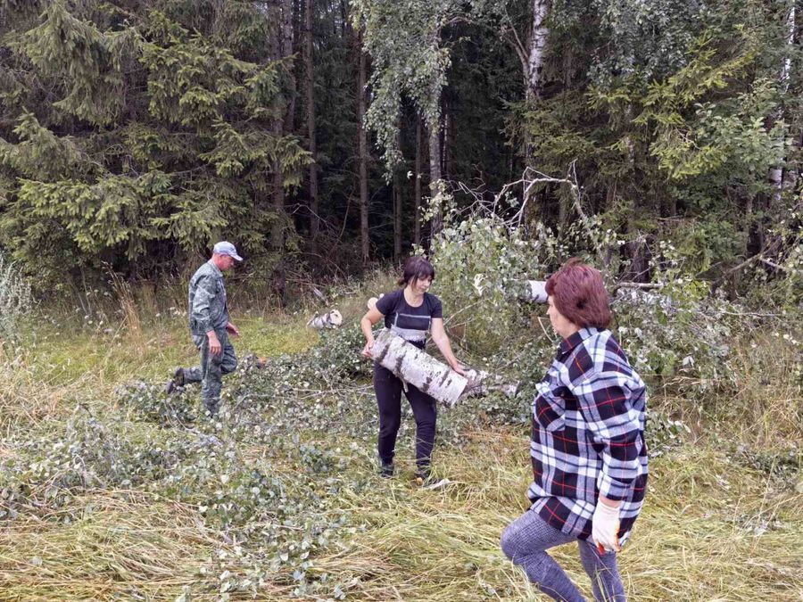 изображение_viber_2026-07-30_14-38-00-087.jpg изображение_viber_2026-07-30_14-38-00-087.jpg