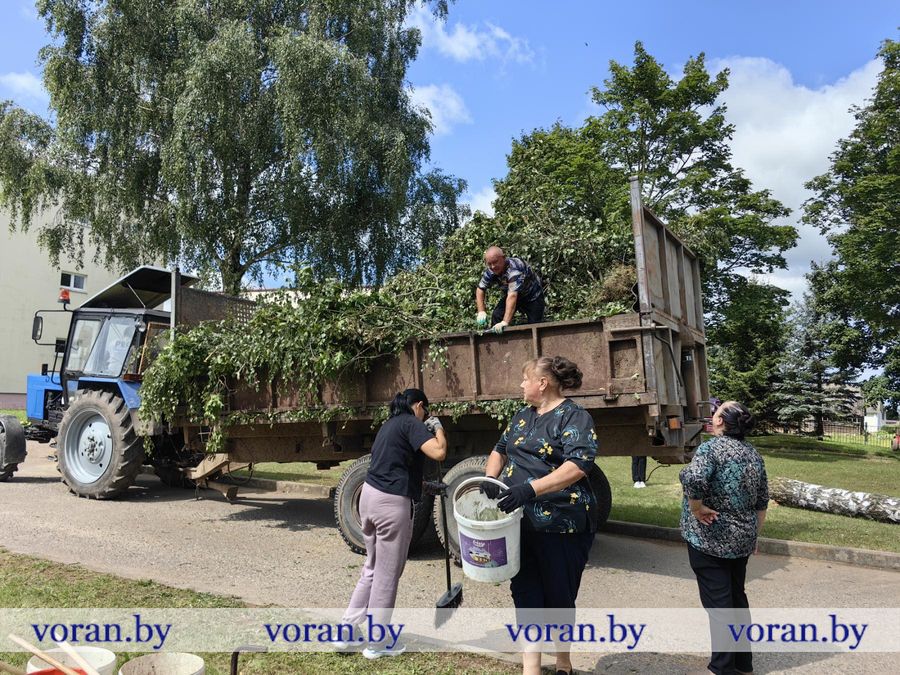 14.jpg 14.jpg