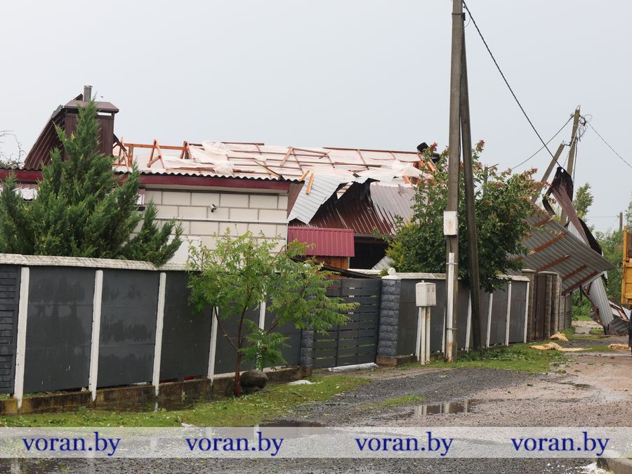 2F1A9510.JPG