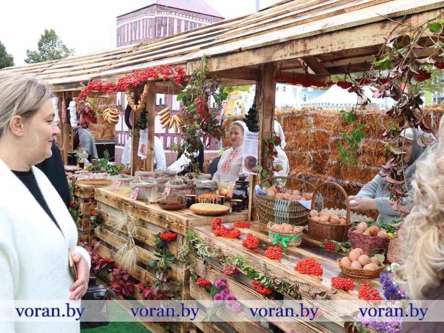 изображение_viber_2026-09-26_12-06-59-284.jpg изображение_viber_2026-09-26_12-06-59-284.jpg