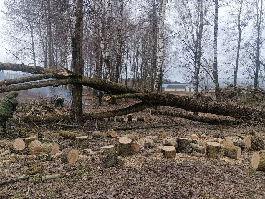 photo_2025-04-22_14-49-44.jpg photo_2025-04-22_14-49-44.jpg