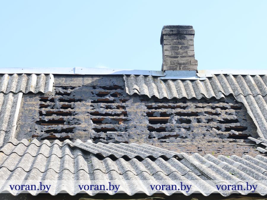 2F1A9910.JPG