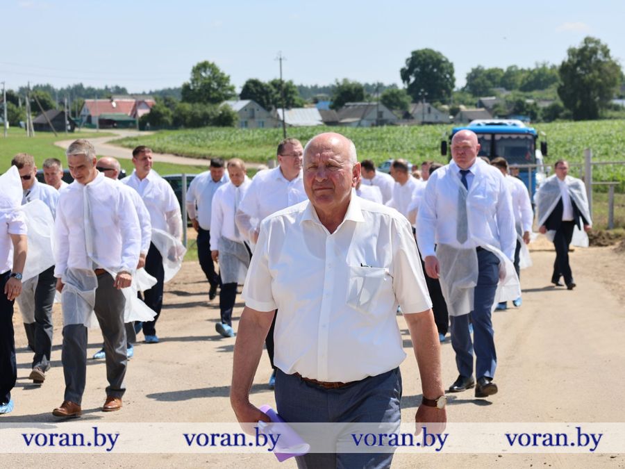 изображение_viber_2026-07-16_17-25-43-078.jpg