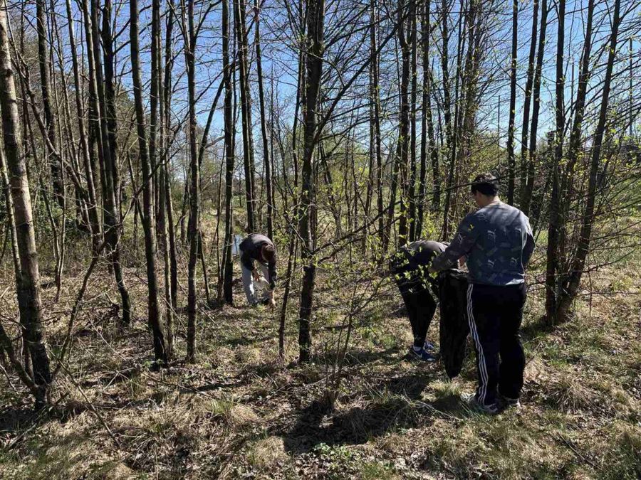 изображение_viber_2025-04-24_14-46-29-705.jpg изображение_viber_2025-04-24_14-46-29-705.jpg