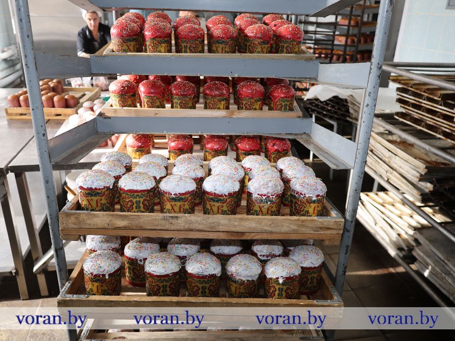 2F1A9784.JPG