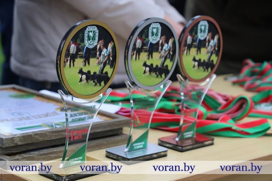 изображение_viber_2025-09-13_18-31-20-872.jpg