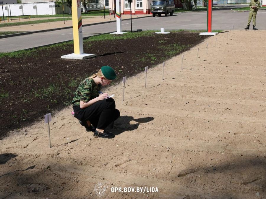 изображение_viber_2025-04-24_14-43-32-413.jpg изображение_viber_2025-04-24_14-43-32-413.jpg