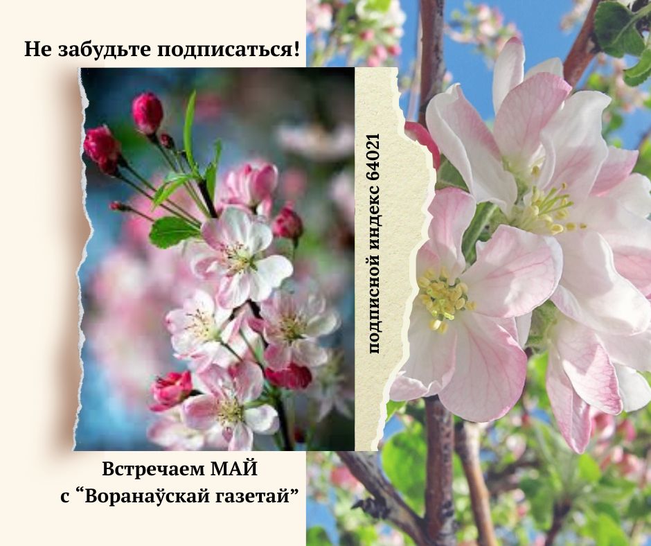 изображение_viber_2025-04-26_09-07-38-689.jpg