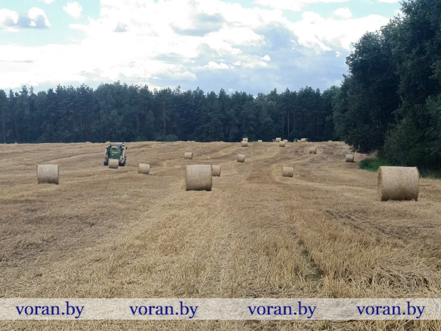 изображение_viber_2026-08-12_15-50-50-557.jpg