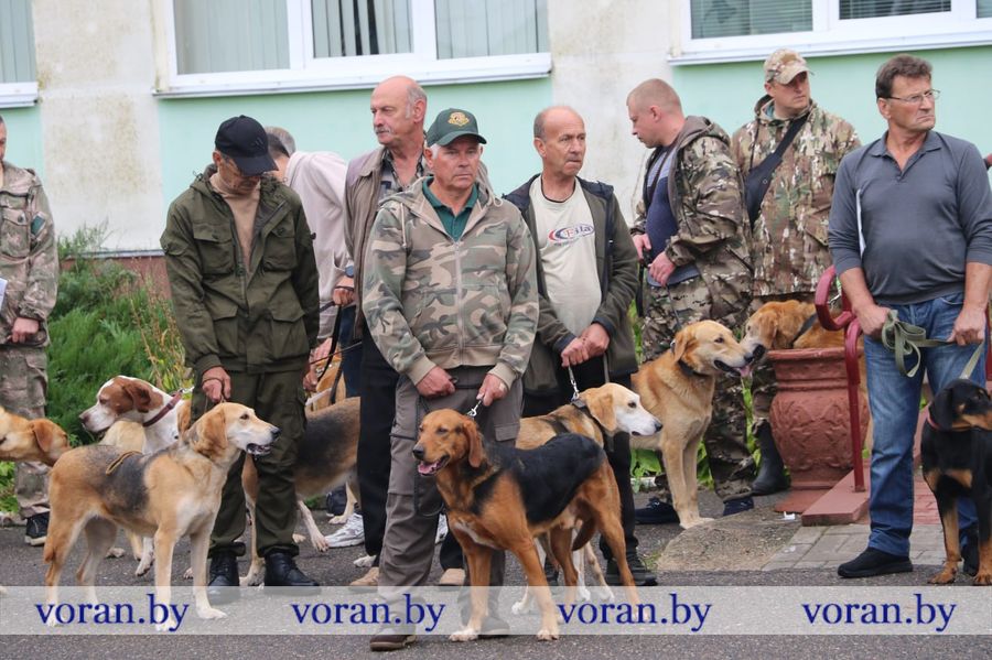 изображение_viber_2025-09-13_18-29-24-296.jpg
