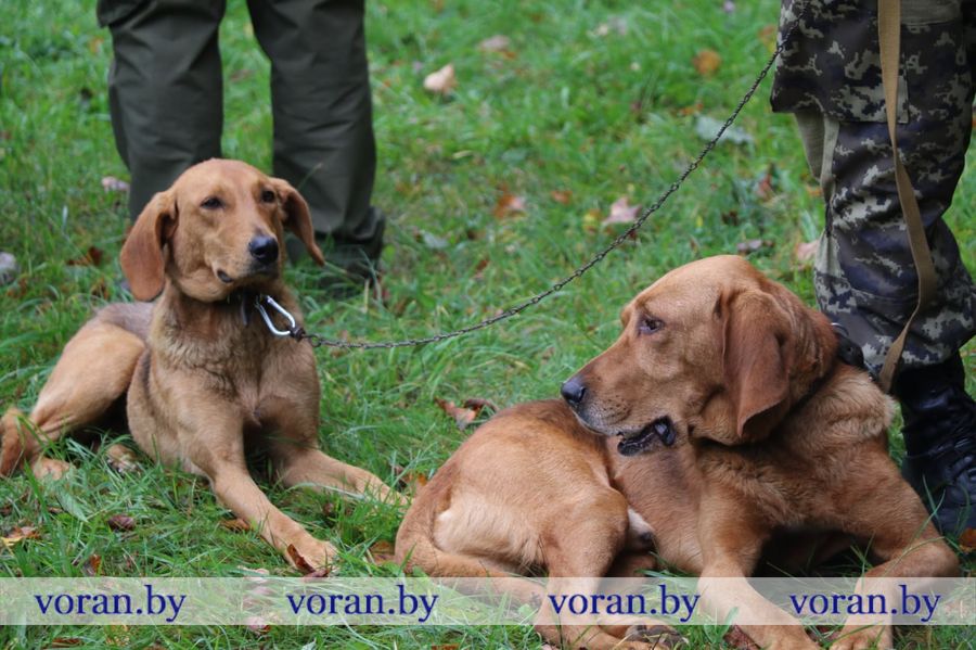 изображение_viber_2025-09-13_18-29-41-673.jpg