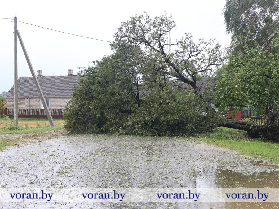 2F1A9499.JPG