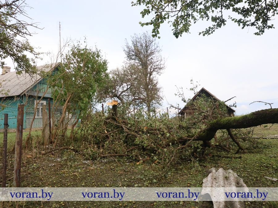 2F1A9668.JPG