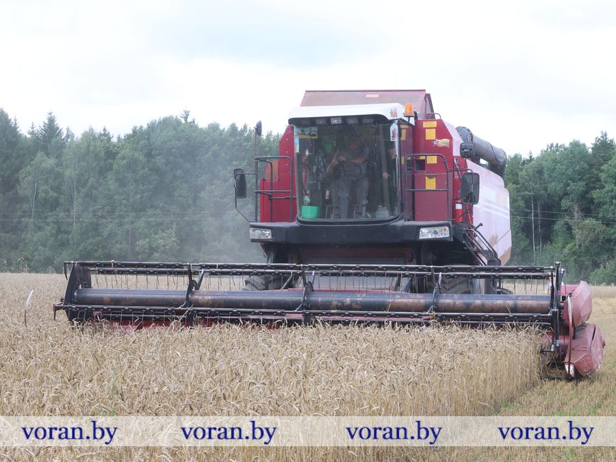 2F1A0730.JPG