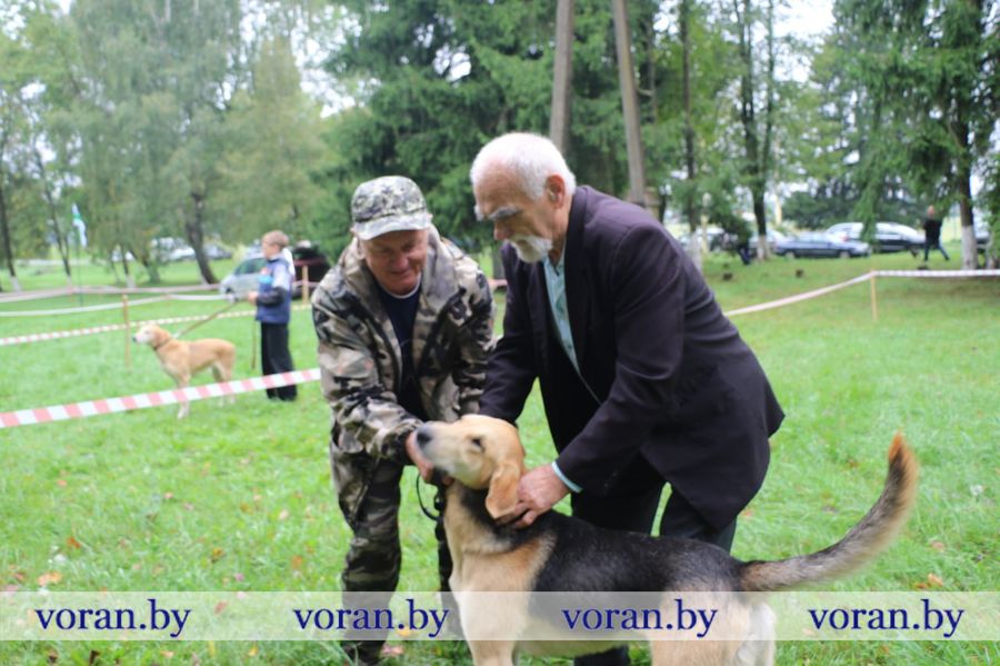 изображение_viber_2025-09-13_18-29-22-802.jpg