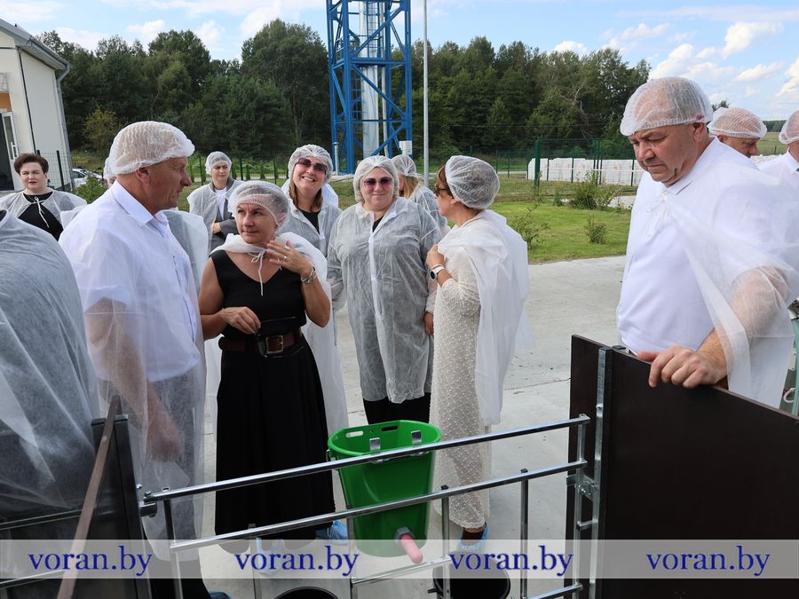 2F1A6324.JPG