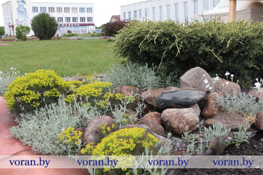 изображение_viber_2023-05-19_09-49-21-149.jpg изображение_viber_2023-05-19_09-49-21-149.jpg