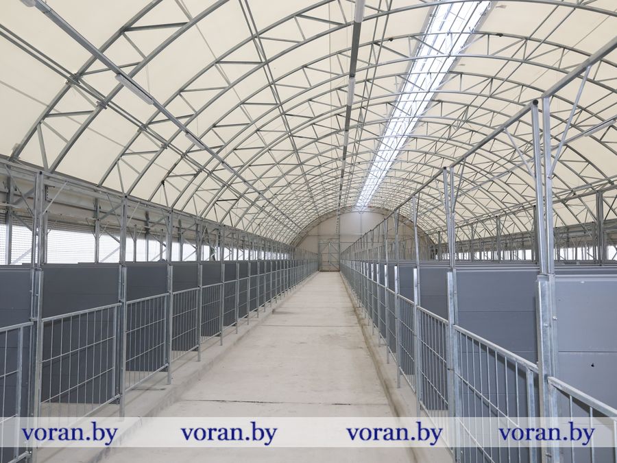 2F1A7122.JPG