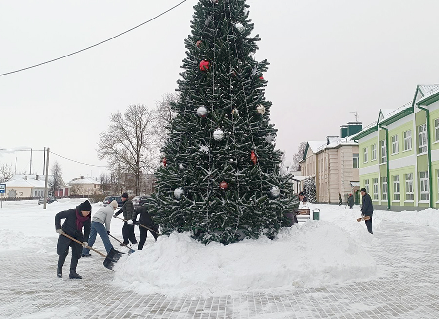 изображение_viber_2026-01-10_15-06-04-384.jpg изображение_viber_2026-01-10_15-06-04-384.jpg