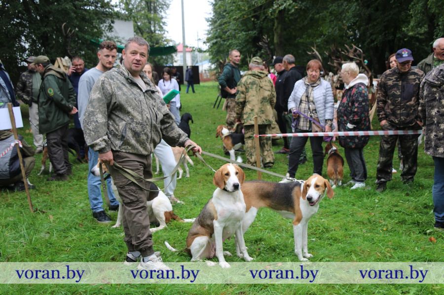 изображение_viber_2025-09-13_18-29-41-047.jpg