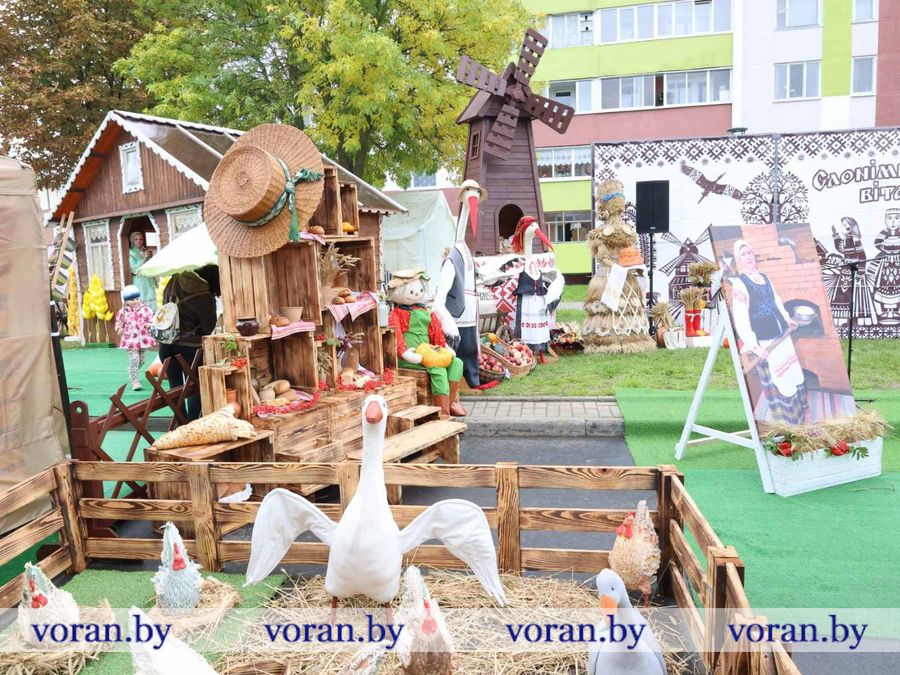 изображение_viber_2026-09-26_11-56-03-554.jpg изображение_viber_2026-09-26_11-56-03-554.jpg