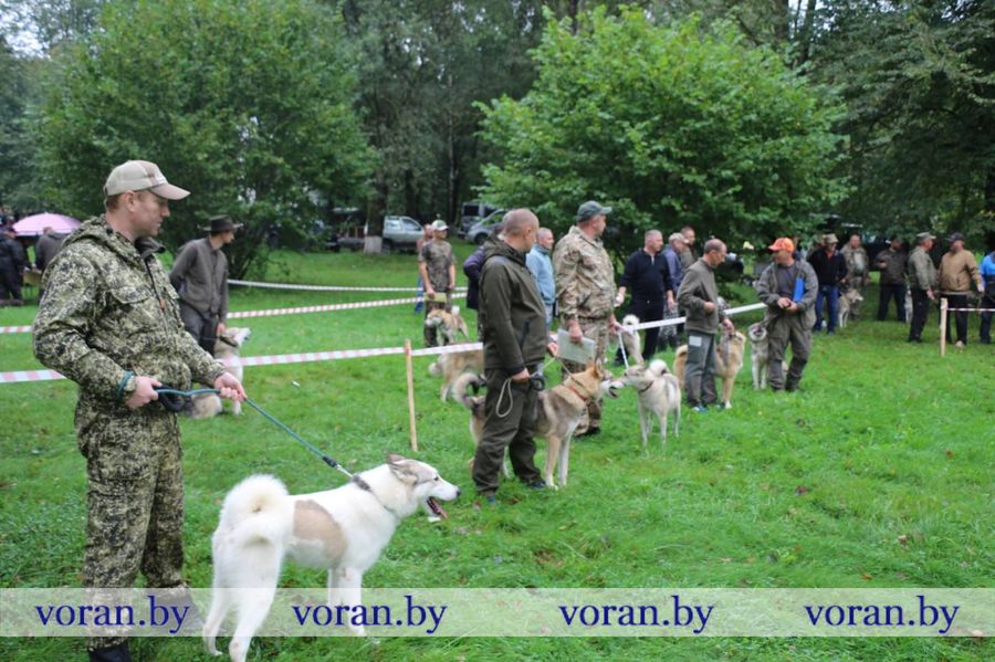 изображение_viber_2025-09-13_18-29-41-009.jpg