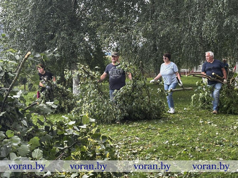 2.jpg 2.jpg
