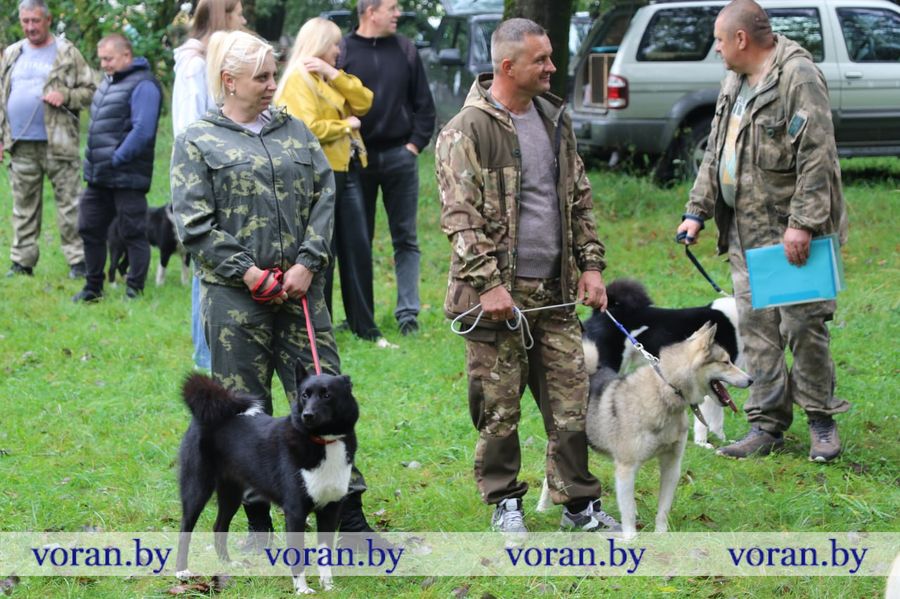 изображение_viber_2025-09-13_18-29-24-244.jpg