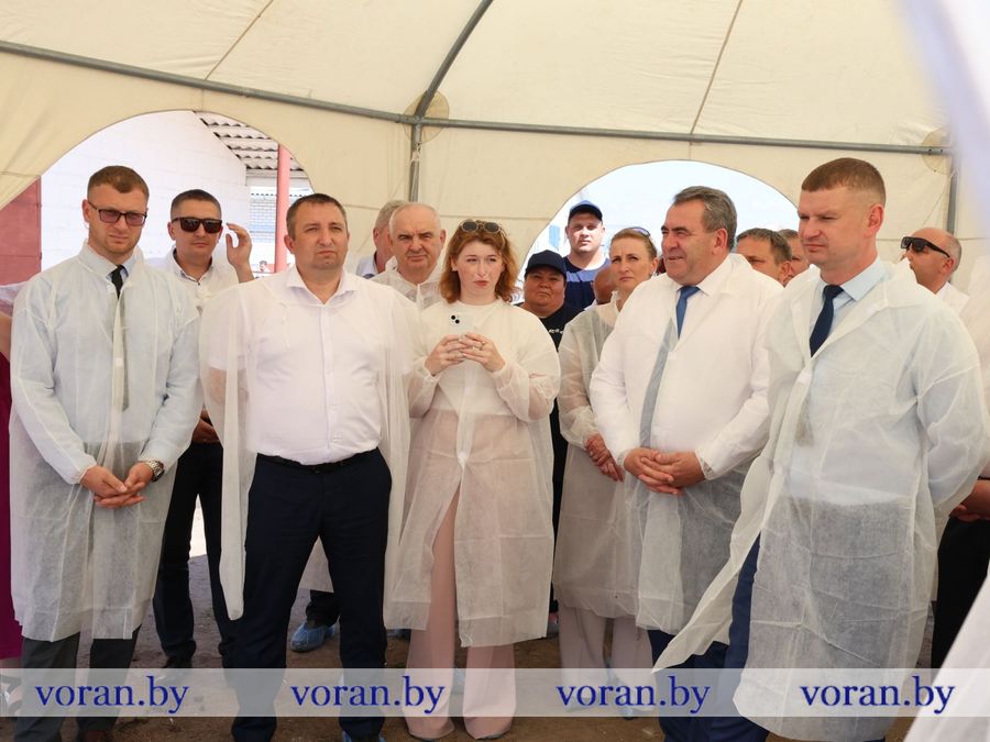 изображение_viber_2026-07-16_17-25-44-440.jpg