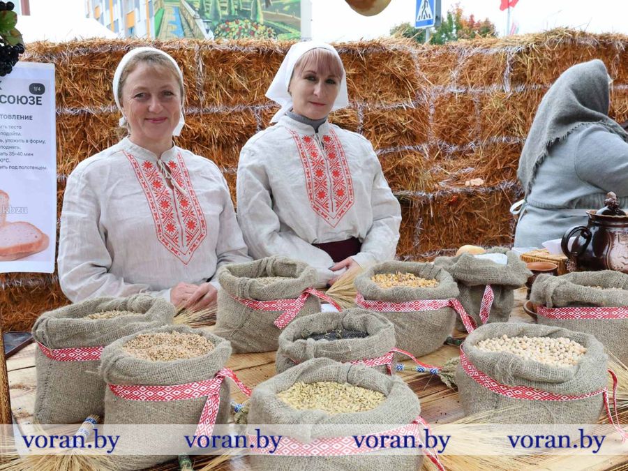 изображение_viber_2026-09-26_12-06-57-644.jpg изображение_viber_2026-09-26_12-06-57-644.jpg