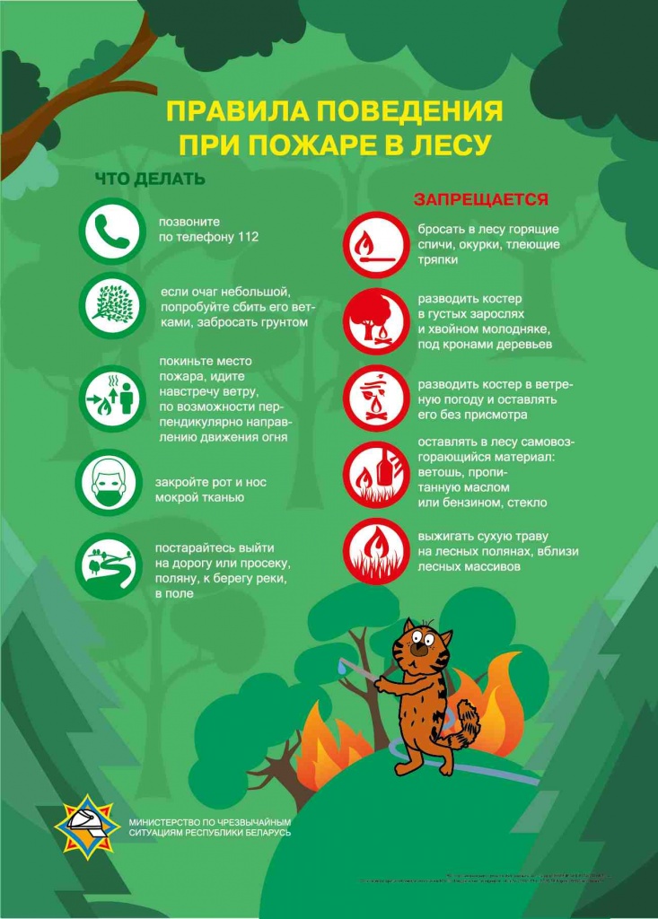 Кот. Пожар в лесу.jpg