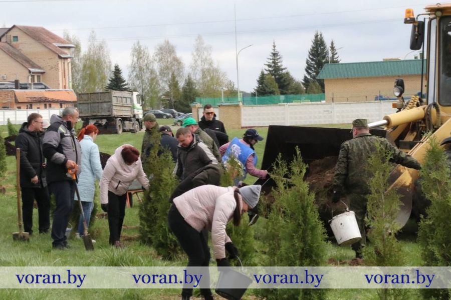 изображение_viber_2025-04-10_09-50-37-586.jpg изображение_viber_2025-04-10_09-50-37-586.jpg