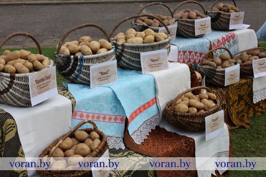 изображение_viber_2025-09-27_17-59-57-482.jpg