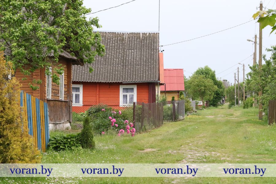 Скорводы.JPG