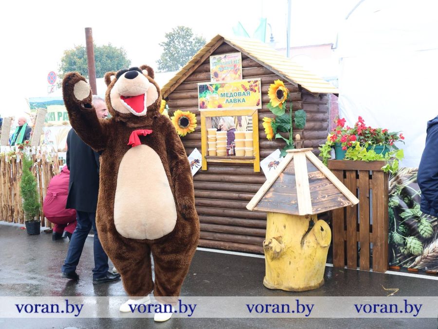 изображение_viber_2026-09-26_11-56-04-220.jpg изображение_viber_2026-09-26_11-56-04-220.jpg