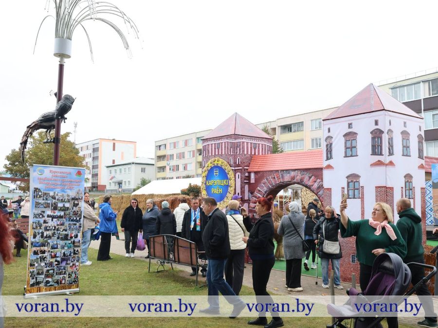 изображение_viber_2026-09-26_12-06-59-402.jpg изображение_viber_2026-09-26_12-06-59-402.jpg