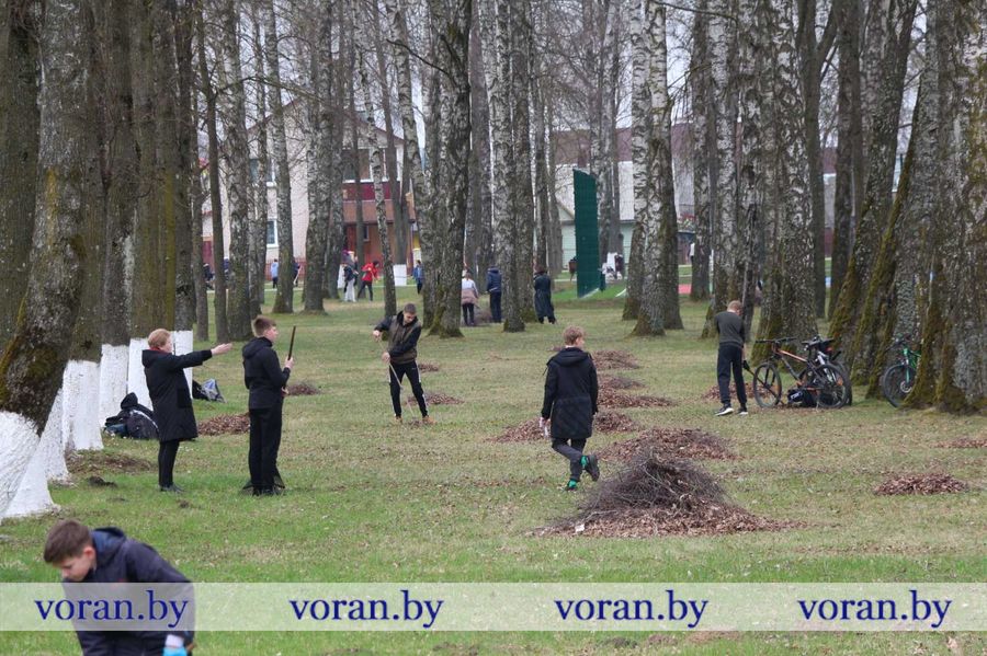 изображение_viber_2023-04-14_14-10-45-565.jpg