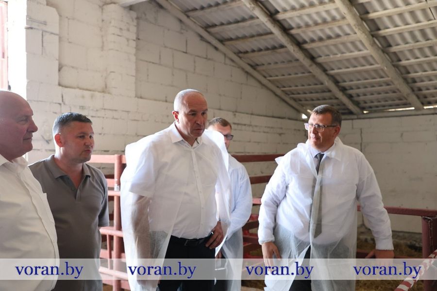 изображение_viber_2026-07-16_17-23-26-114.jpg
