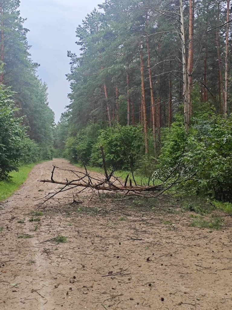 изображение_viber_2026-07-27_17-01-16-129.jpg