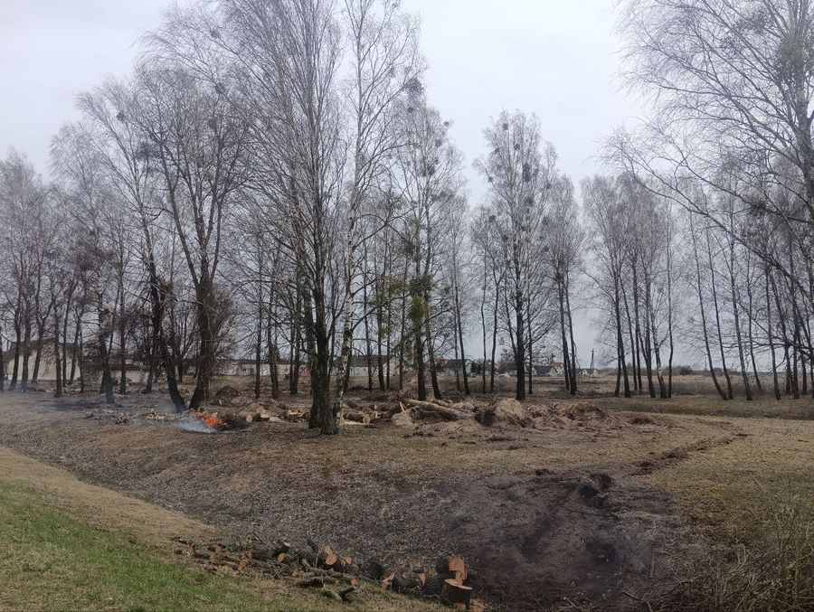 photo_2025-04-21_14-09-18.jpg photo_2025-04-21_14-09-18.jpg